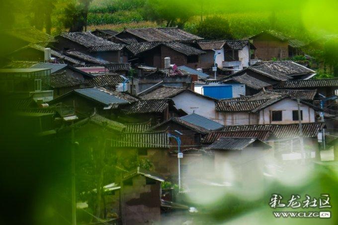 豆娃的冒险故事壹